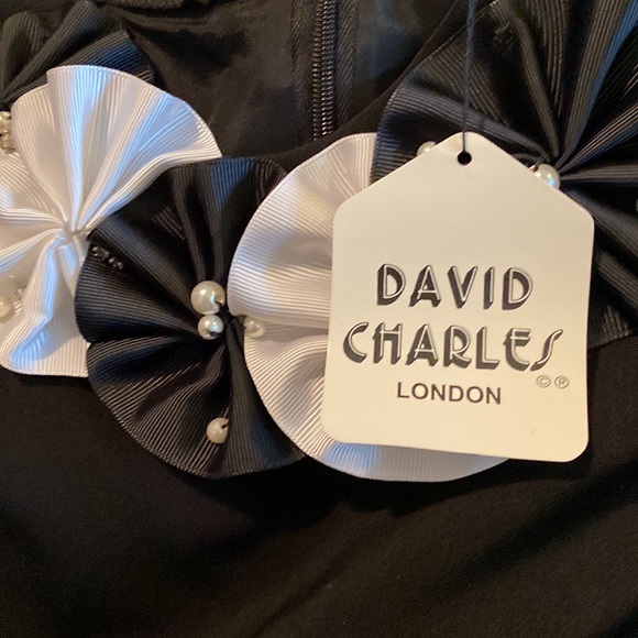 NWT David Charles London Magic Satin Rosette Dress - Picture 10 of 12